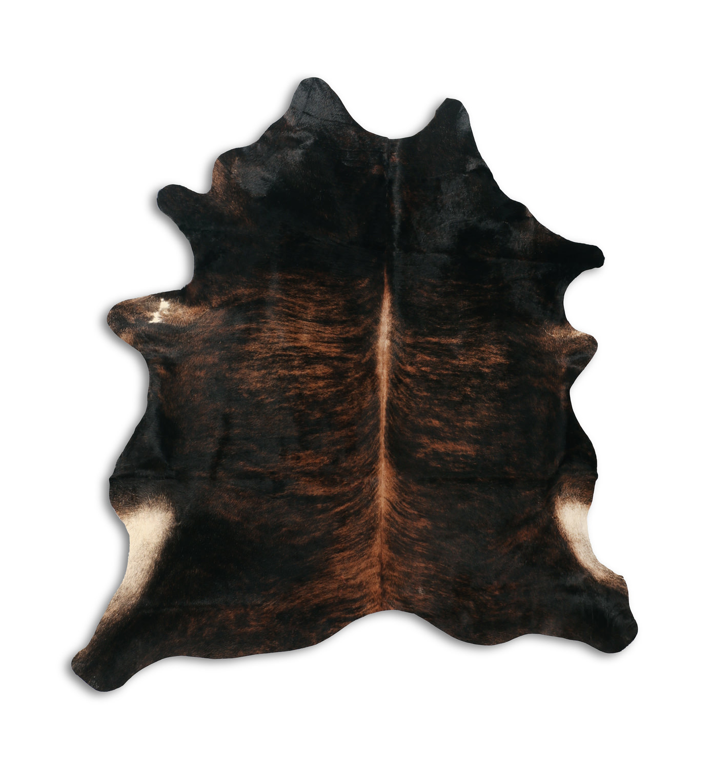 Premium Large Exotica Bridle Dark Cowhide