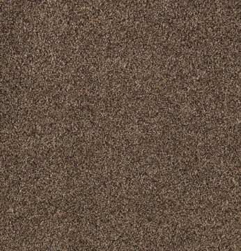 Karastan Gentle Quality - Pinecone