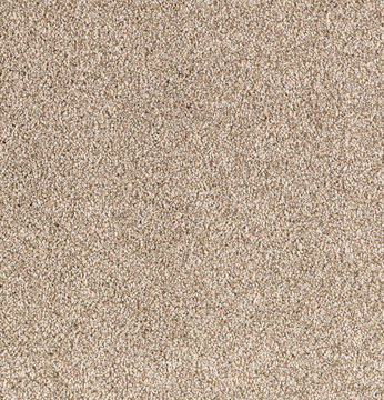 Karastan Gentle Quality - Mineral