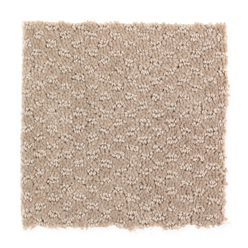 image Subtle Allure - Biscotti