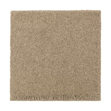 Absolute Elegance 2 - Brushed Suede