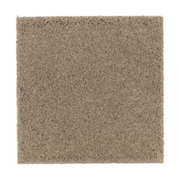 image Absolute Elegance 2 - Urban Taupe