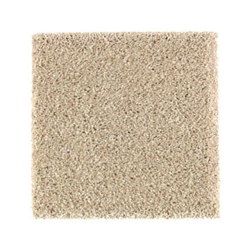 Pure Distinction 1 - Sand Dollar