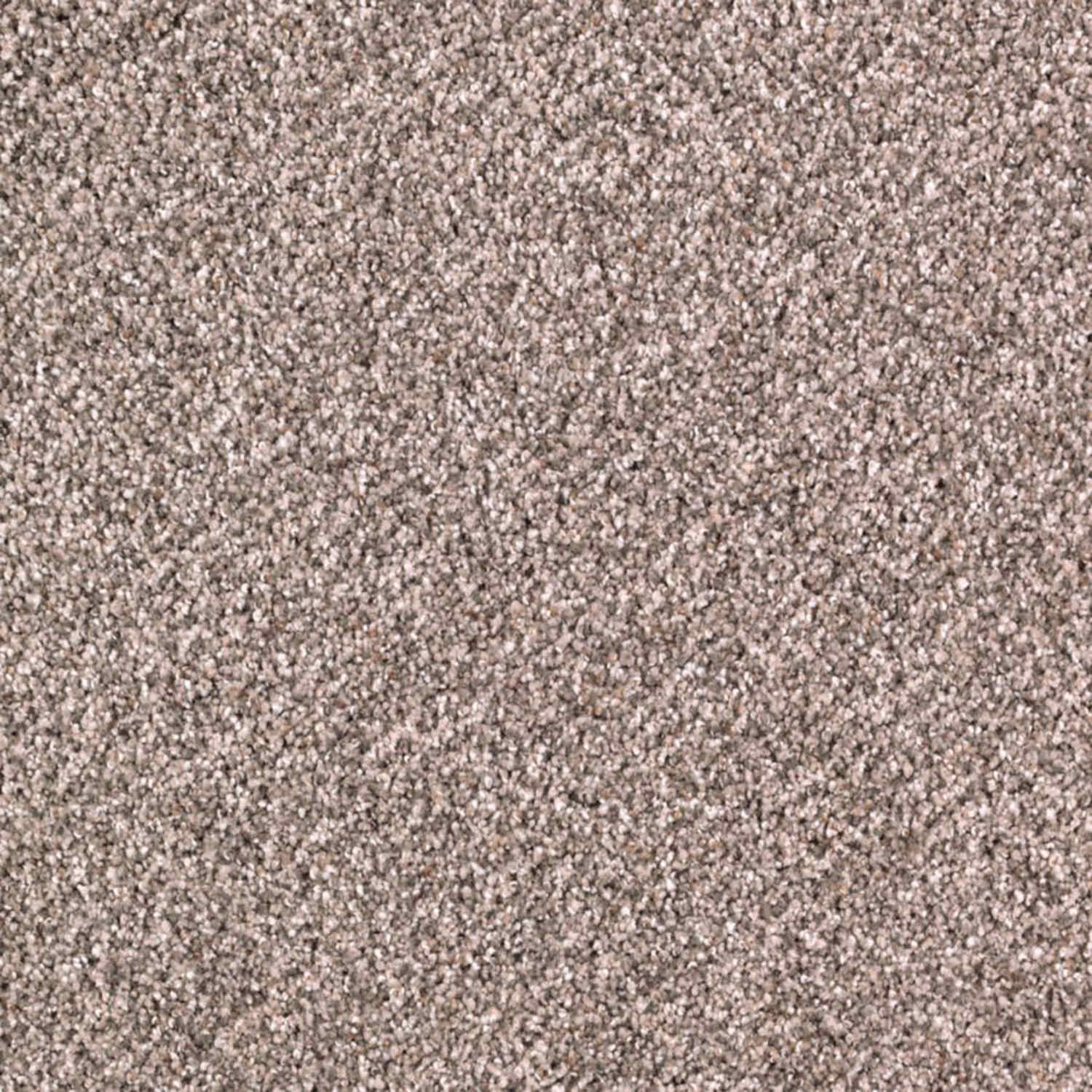 durable carpet