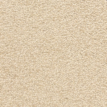 Fabrica Bodega Bay - Buena Vista