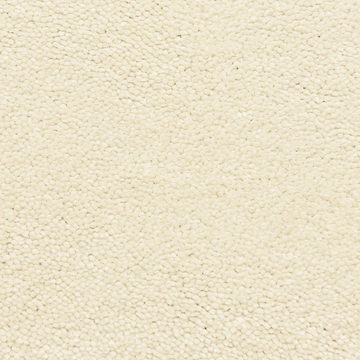 Bodega Bay - Sandpiper