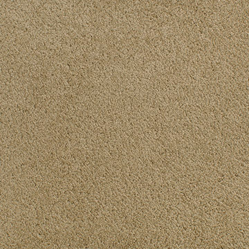 Fabrica Denali - Ovation