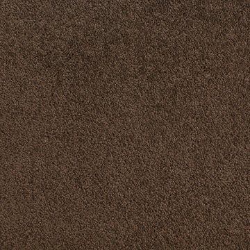 Fabrica Accolade - Fossil