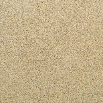 Fabrica Denali - Cairo Gold