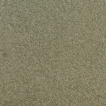 image Fabrica Denali - Fir