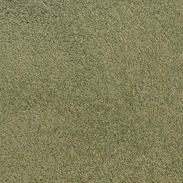 Fabrica Denali - Rain Forest