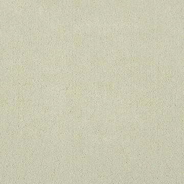 image Dolce - Sprout