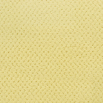 image Fabrica Power Point - Day Lilly