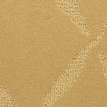 Fabrica Montage - Guava