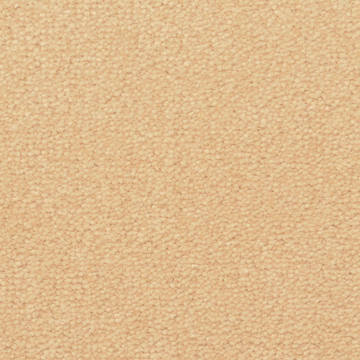 Fabrica Captiva - Adirondack