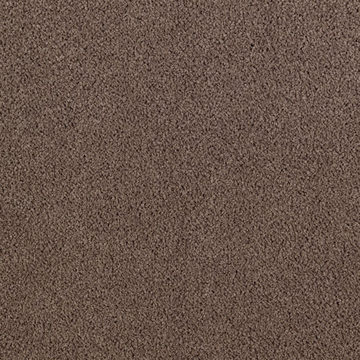 Karastan Global Picture - Saddlery