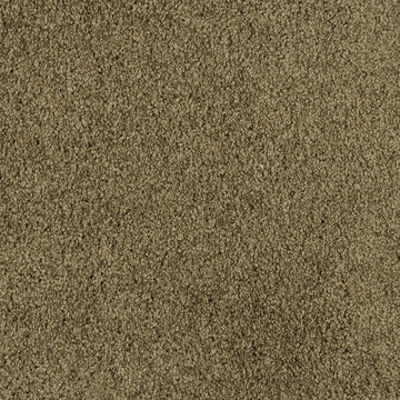 Masland Miami - Cypress