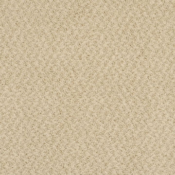 Masland New Hope - Capuccin