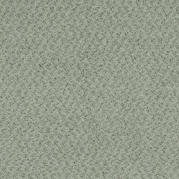 Masland New Hope - Laurel