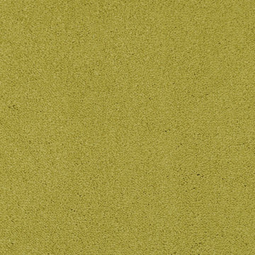 Masland Cache - Pine