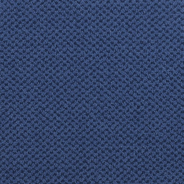Masland Seurat - Cobalt