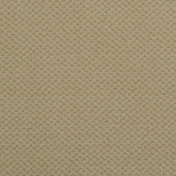 Masland Seurat - Plaster
