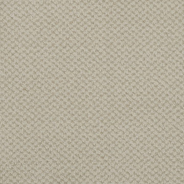 image Masland Seurat - Mist