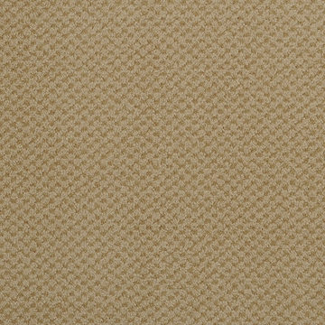 image Masland Seurat - Tan