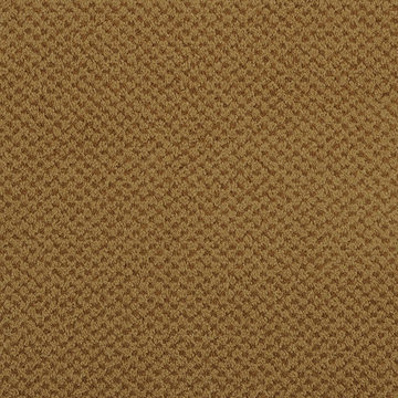 Masland Seurat - Raw Sienna