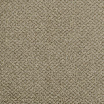 Masland Seurat - Putty