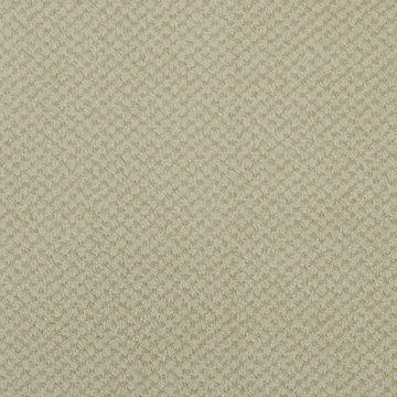 Masland Seurat - Dill