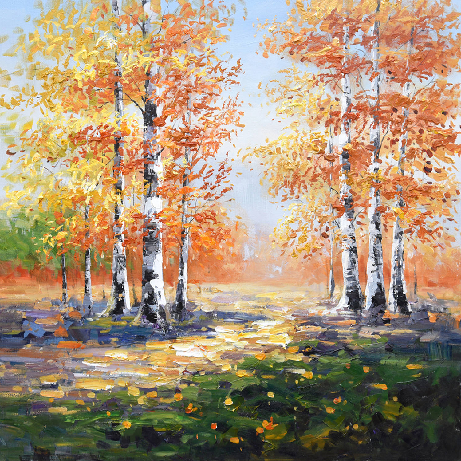 Birch Trees in the Fall