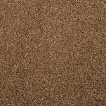 Masland Embrace - Barley