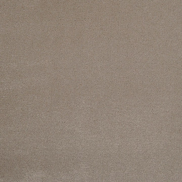 image Masland Silk Touch - Muffet
