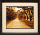 Box Framed Art Assortment - Black & White Photography thumbnail 2