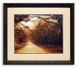 Box Framed Art Assortment - Black & White Photography thumbnail 1