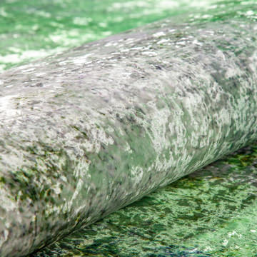 Nebula Kiwi Area Rug - 3′3″ X 5′3″