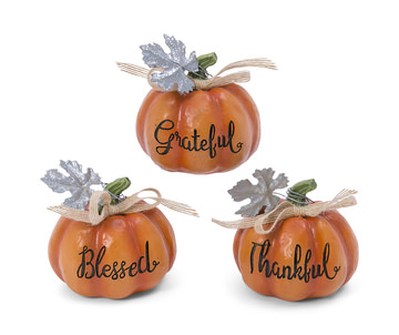 image Assorted Pumpkins With Sayings