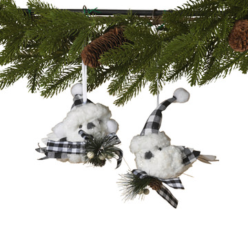 Assorted Winter Birds