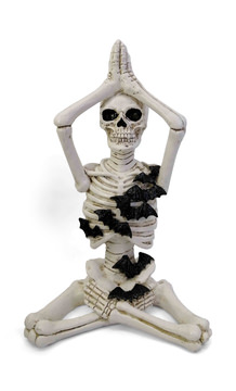 image Yoga Skeleton With LED Lights