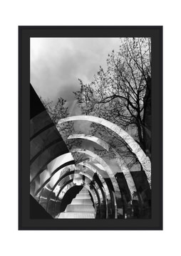 image Concentric I