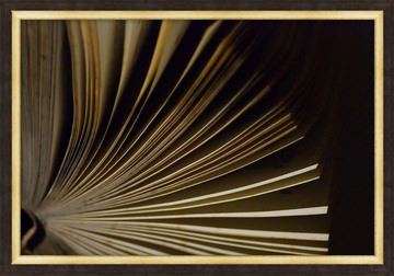 image Literature II Framed Wall Art