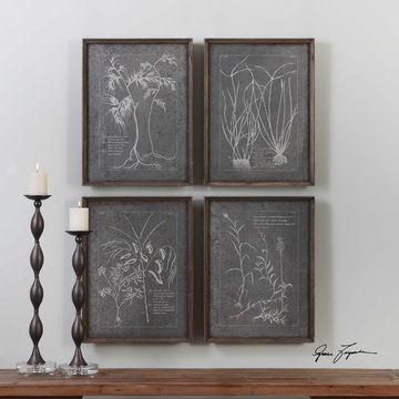Root Study Framed Prints, Set of 4