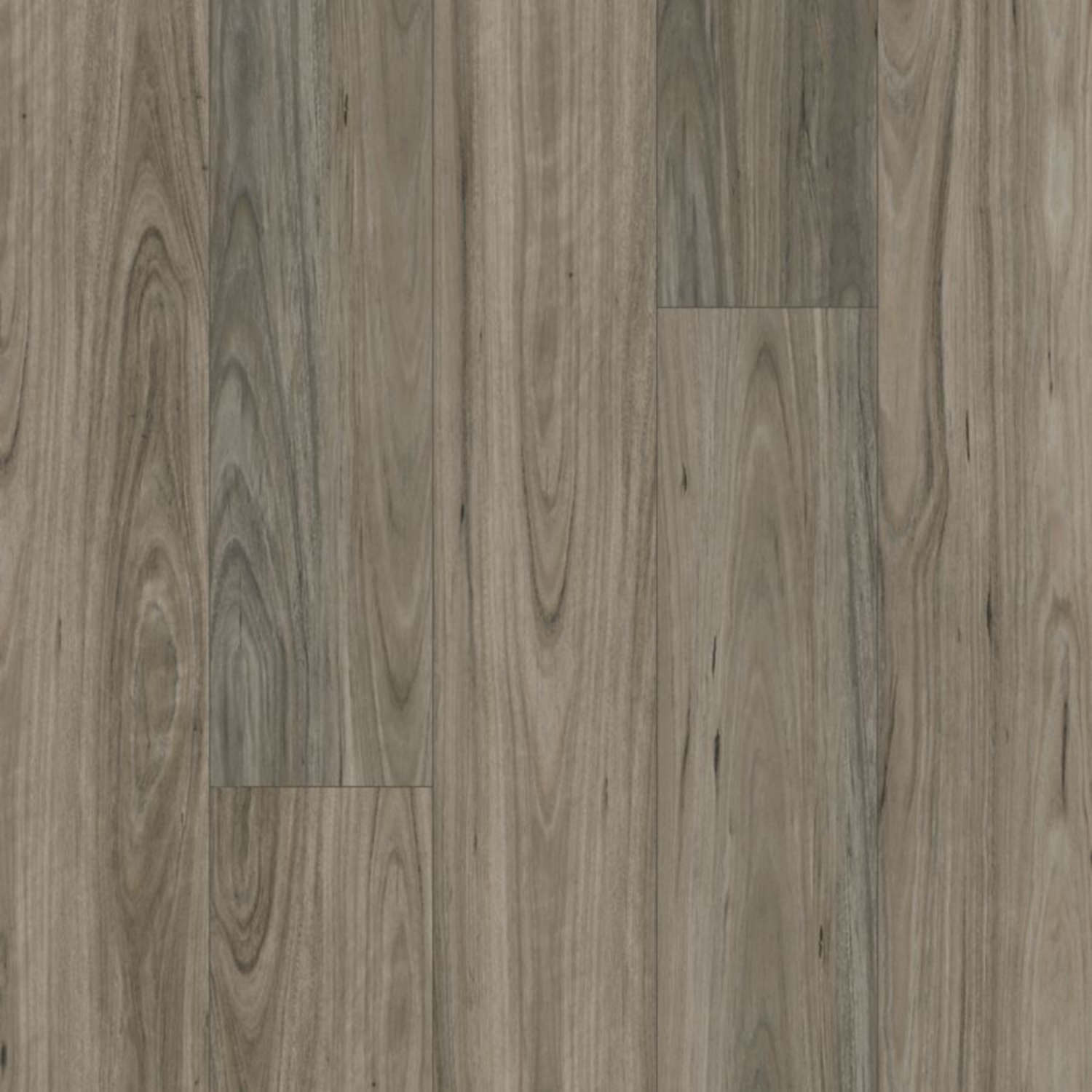 Karastan Treasured Grove - Graphite