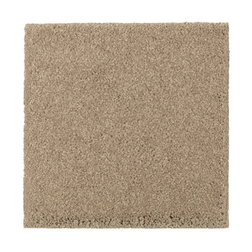 image Absolute Elegance 1 - Brushed Suede