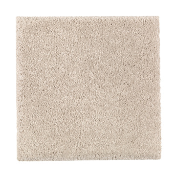 image Absolute Elegance 1 - Parchment