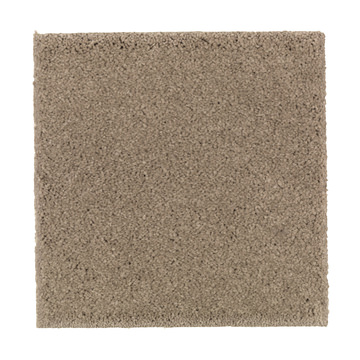 image Absolute Elegance 1 - Urban Taupe