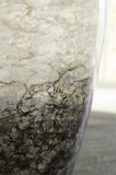 Mirielle Glass Vase - Medium thumbnail 3