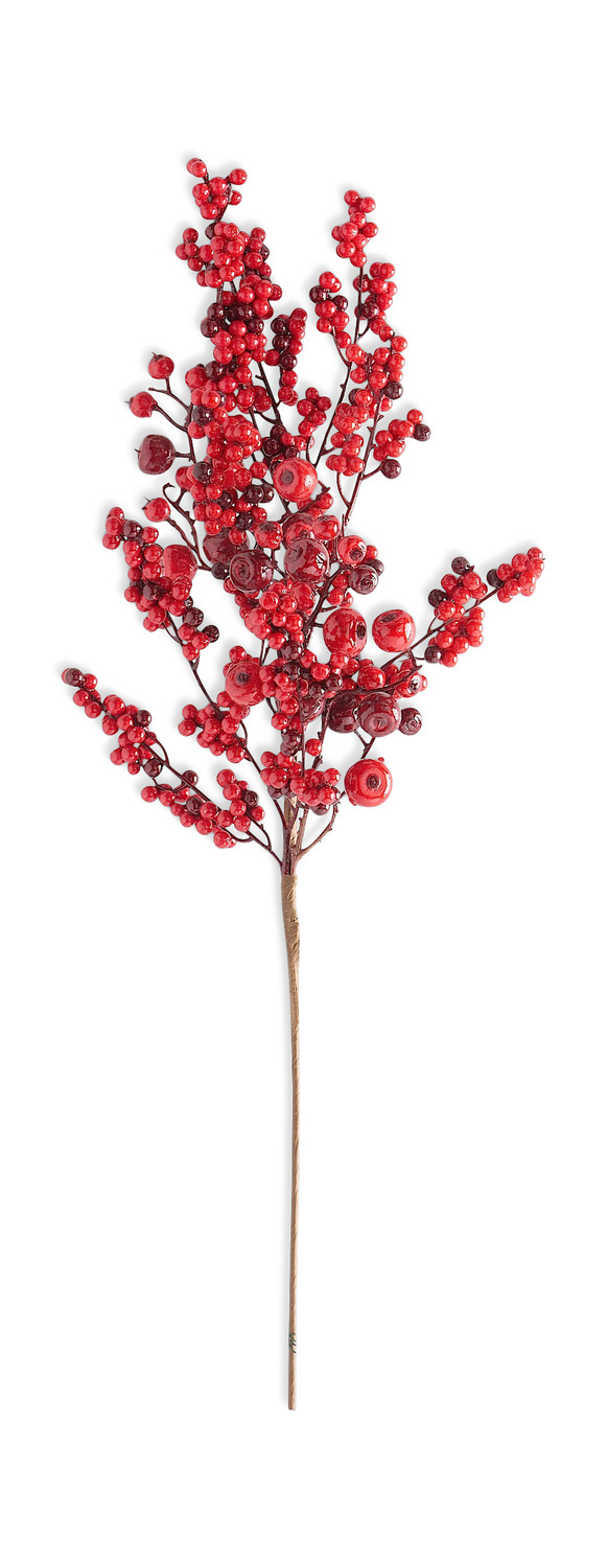 Berry Stem