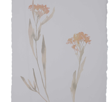 Flourish Framed Prints - Set of 4